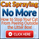 Cat Spraying No More
